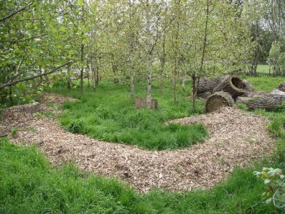 London woodchip pile. Photo by Pat Robinson, 16 April 2005.