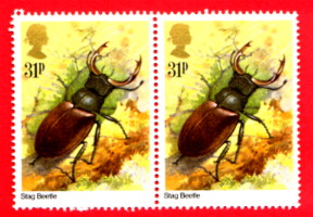 beetle stamps